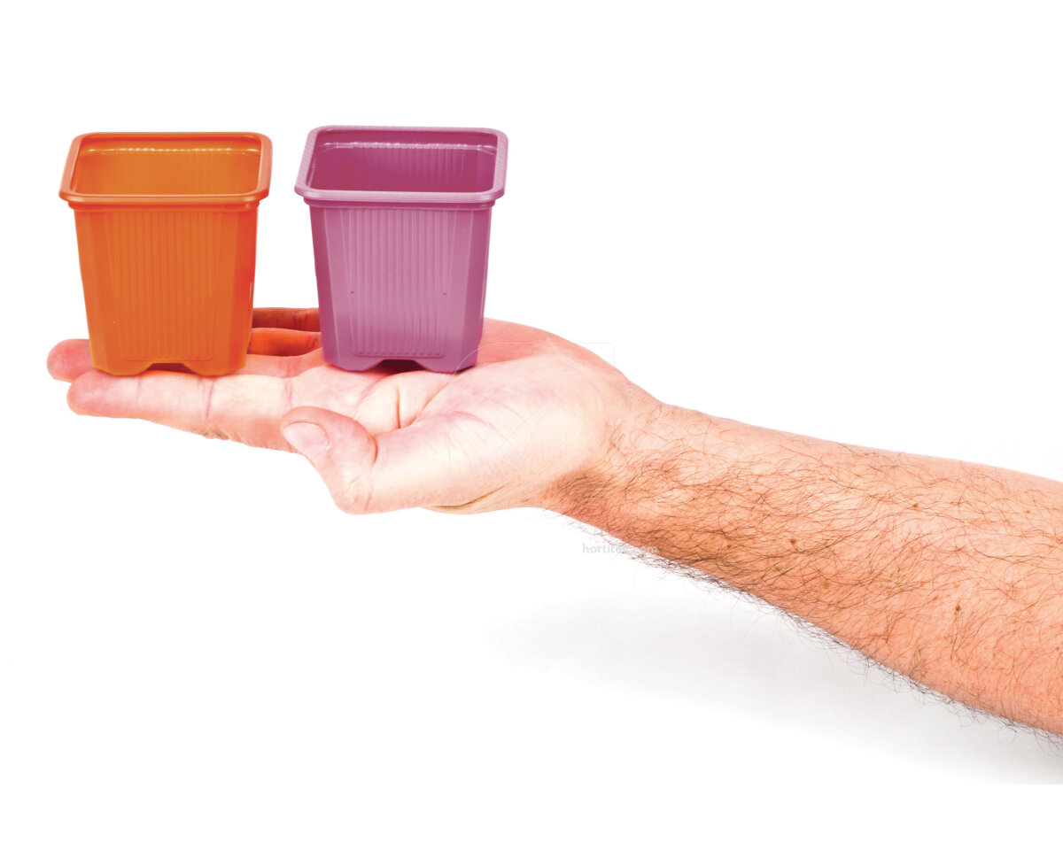 Maceta color naranja (7 x 7 x 6,5 cm)