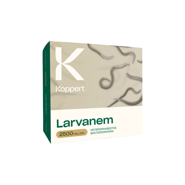 Larvanem 500 millones (heterorhabditis bacterophora) koppert