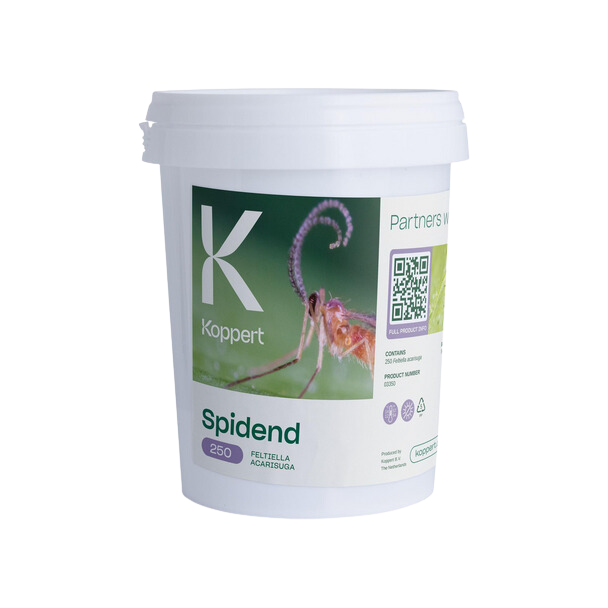 Spidend 250 cubo 550 ml koppert