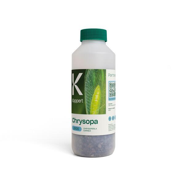 Chrysopa cubo 6 l koppert