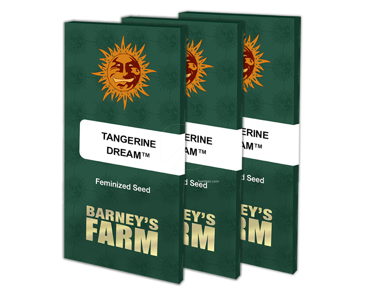 Tangerine dream (5) 100% barney´s farm seeds