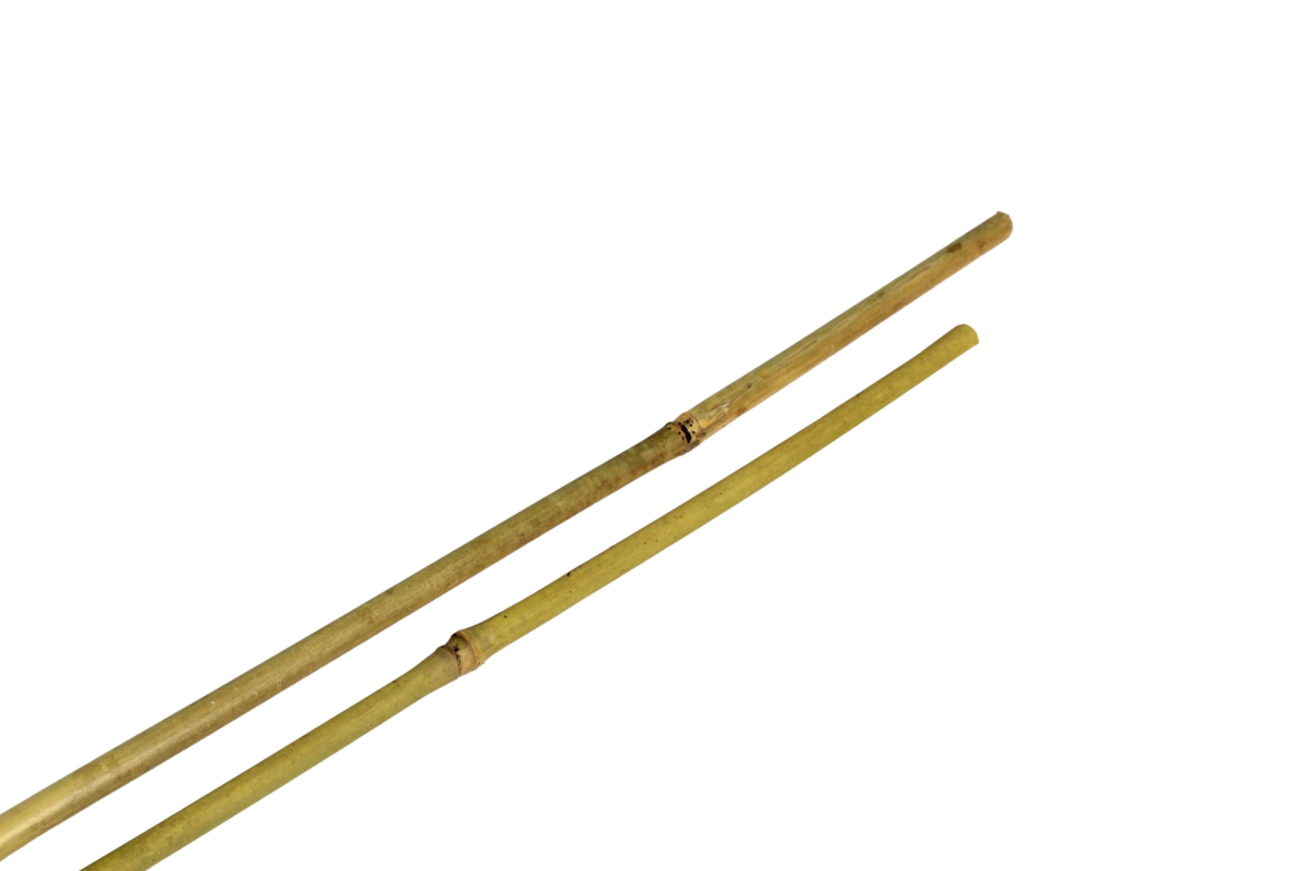 Tutor bambu 120 cm 10/12 mm