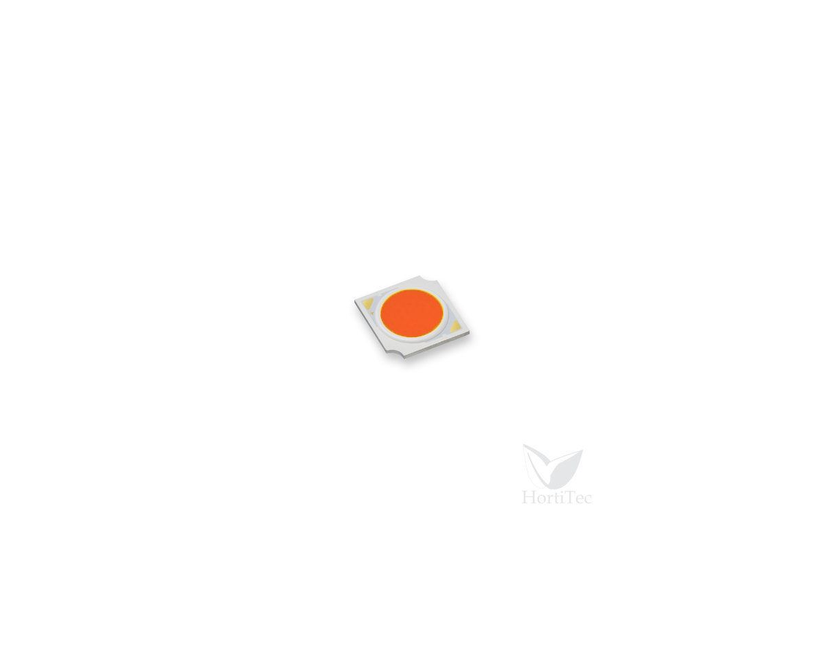 Cob citizen 25/55 prb