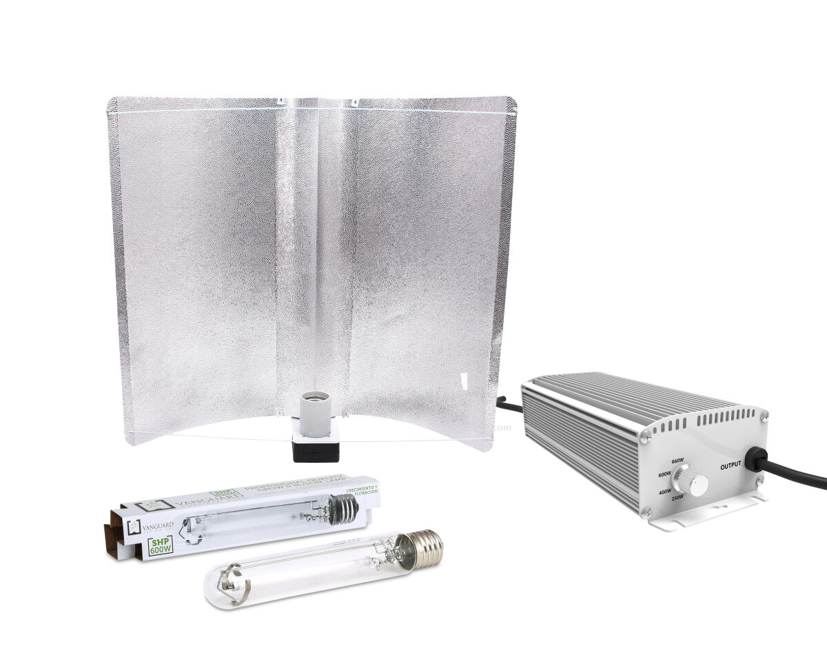 Kit electronico 600 w vanguard micropunto xl