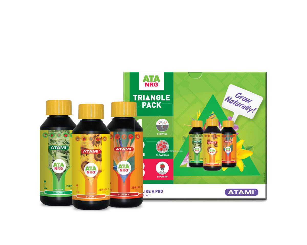 Ata nrg triangle pack atami