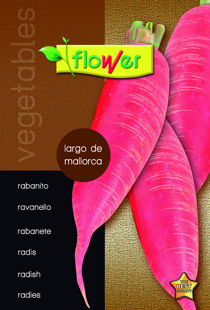 Rabanito largo de mallorca