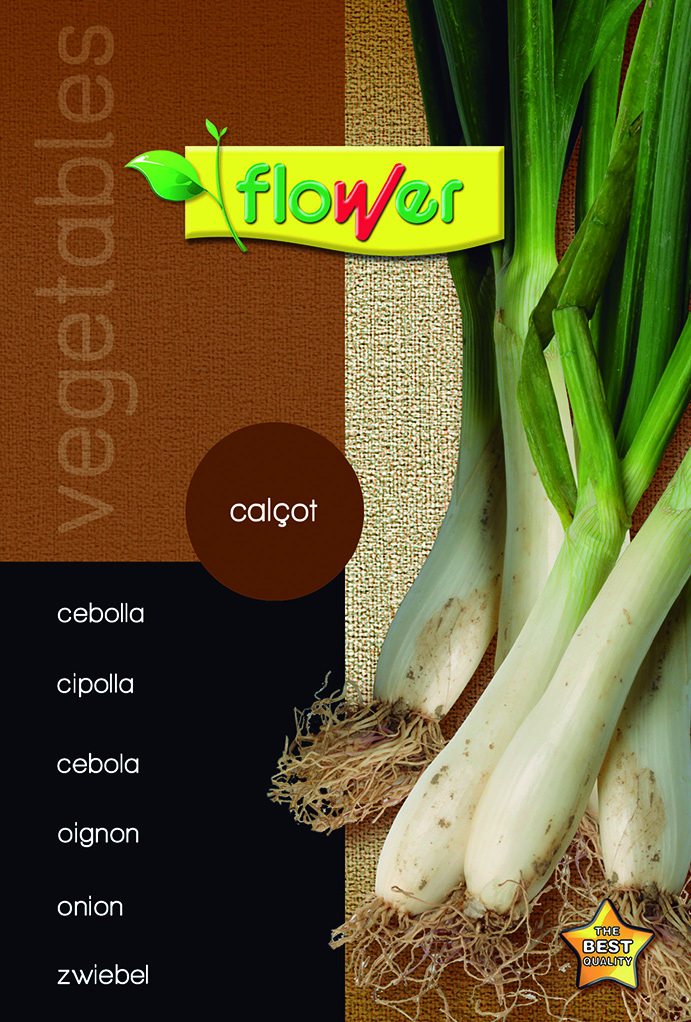 Cebolla calçot