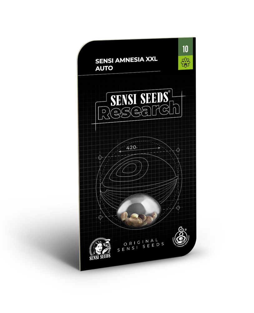 Sensi amnesia xxl auto (1) sensi seeds